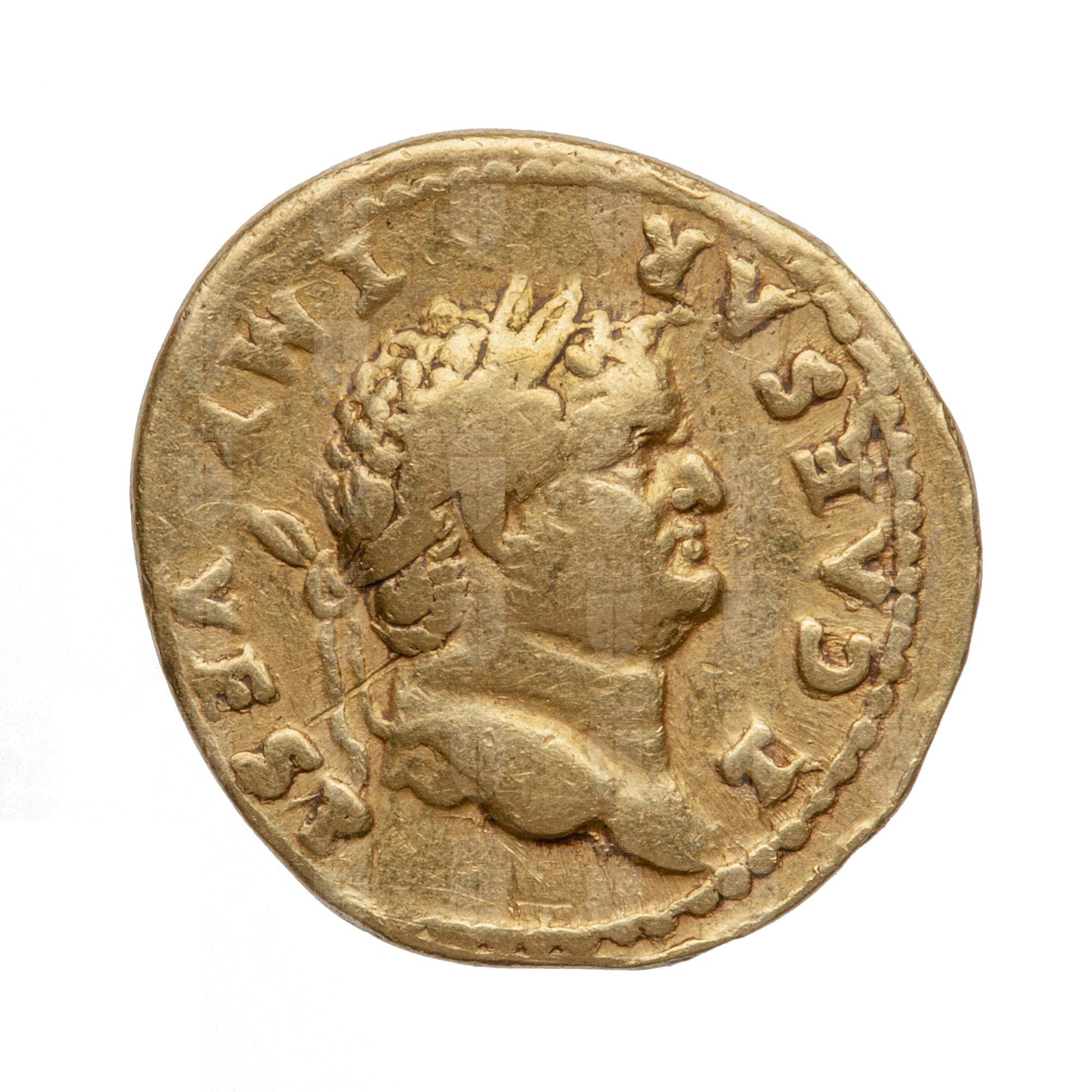 https://catalogomusei.comune.trieste.it/samira/resource/image/reperti-archeologici/Roma 760 D Tito.jpg?token=6514fbb7d767c